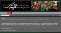 Desktop Screenshot of matthewsbotanicalimages.com