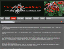 Tablet Screenshot of matthewsbotanicalimages.com